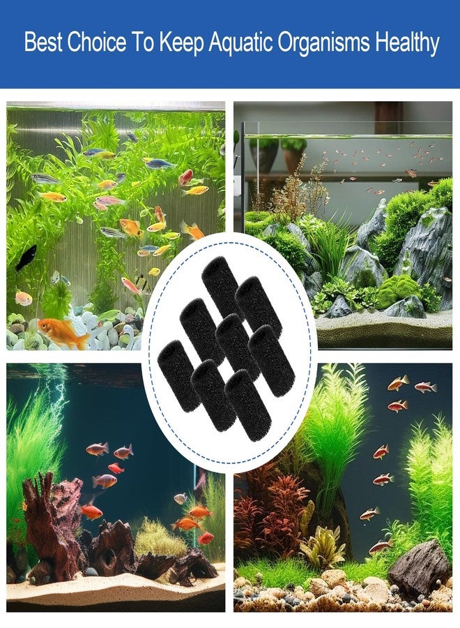 Batator Pre Filter Sponge for Aquarium Shrimp Fry Fish Tank Filter Intake for Marina S10, S15 and S20 Filter,Imagitarium Replacement Filter Foam Cover Aquarium Filter Media Protects Baby Fish & Shrimp-8Pack - Image 5